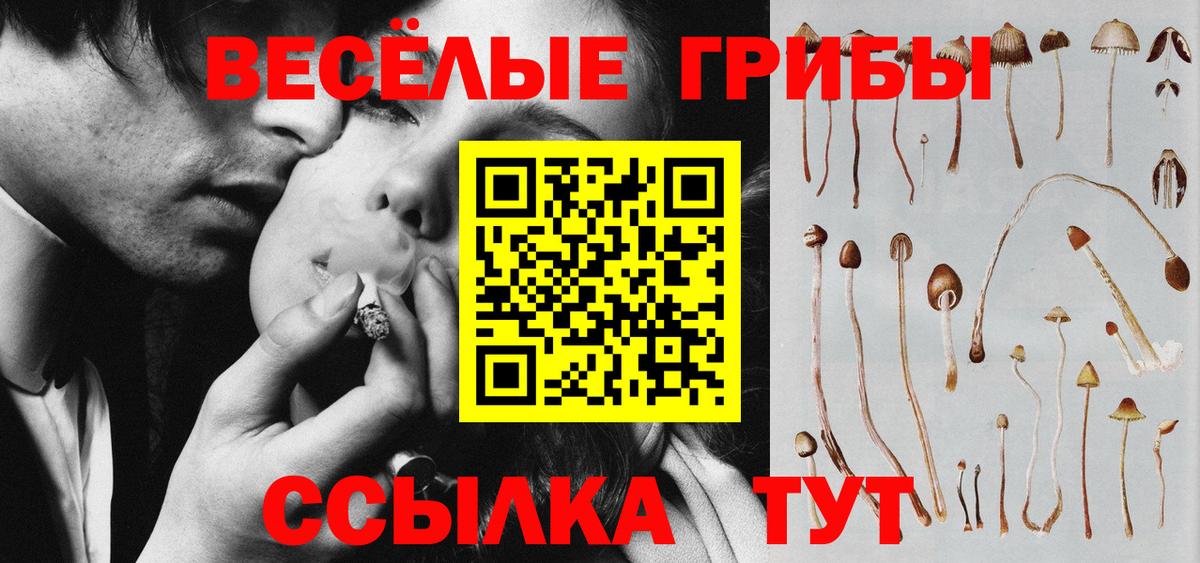 Галлюциногенные грибы Magic Shrooms  Псилоцибиновые грибы GOLDEN TEACHER  Вход с VPN  Семилуки 