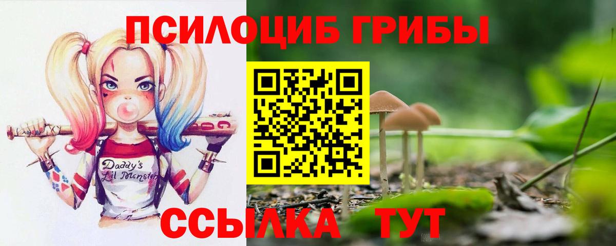 Псилоцибиновые грибы мицелий Семилуки